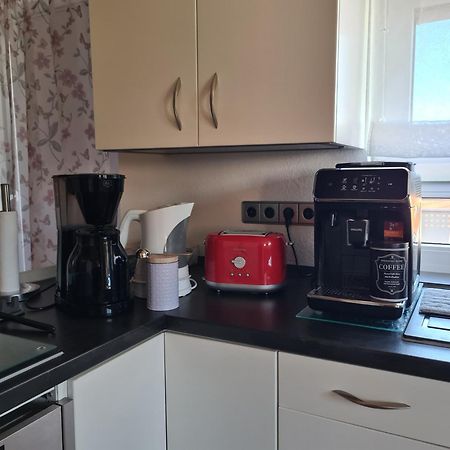 Ferienwohnung Pflueger Mit Terrasse Lauda-Königshofen Dış mekan fotoğraf