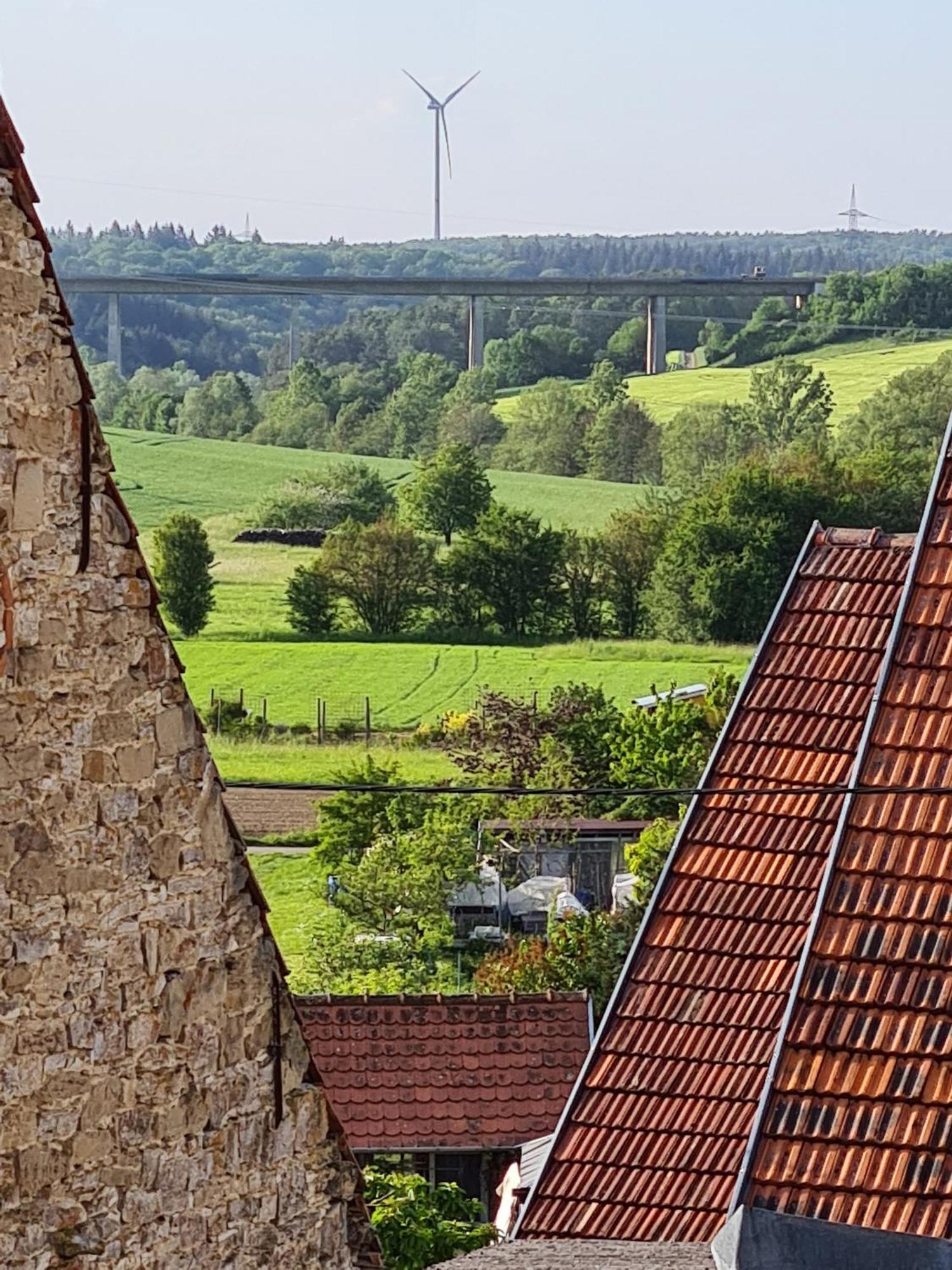 Ferienwohnung Pflueger Mit Terrasse Lauda-Königshofen Dış mekan fotoğraf